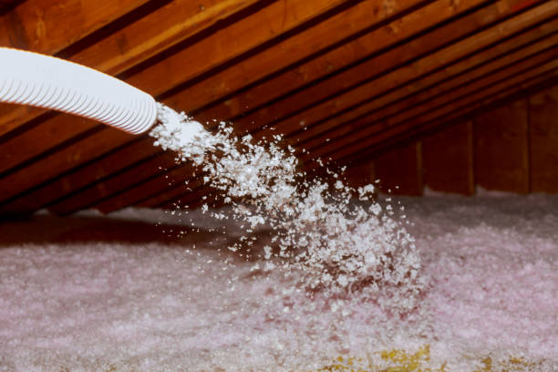 Best Insulation for Specific Applications in Coto De Za, CA