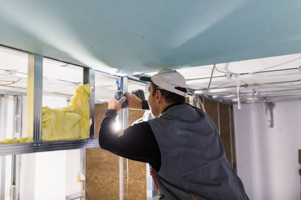 Types of Insulation We Offer in Coto De Caza, CA