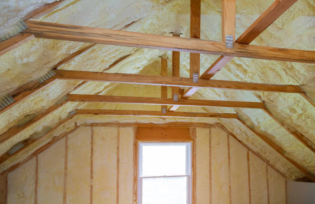 Best Residential Insulation in Coto De Za, CA