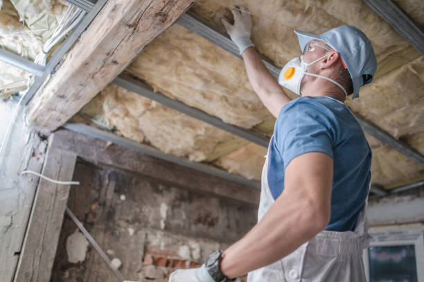 Best DIY Insulation Kits and Guidance in Coto De Za, CA