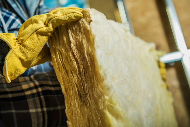 Best Spray Foam Insulation in Coto De Za, CA