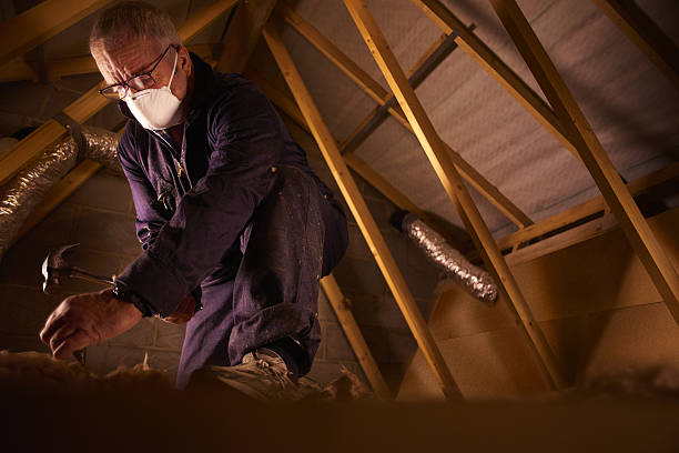 Best Cellulose Insulation in Coto De Za, CA